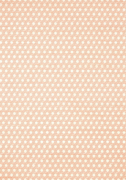 Thibaut Modern Resource 3 Pergola Wallpaper - Orange