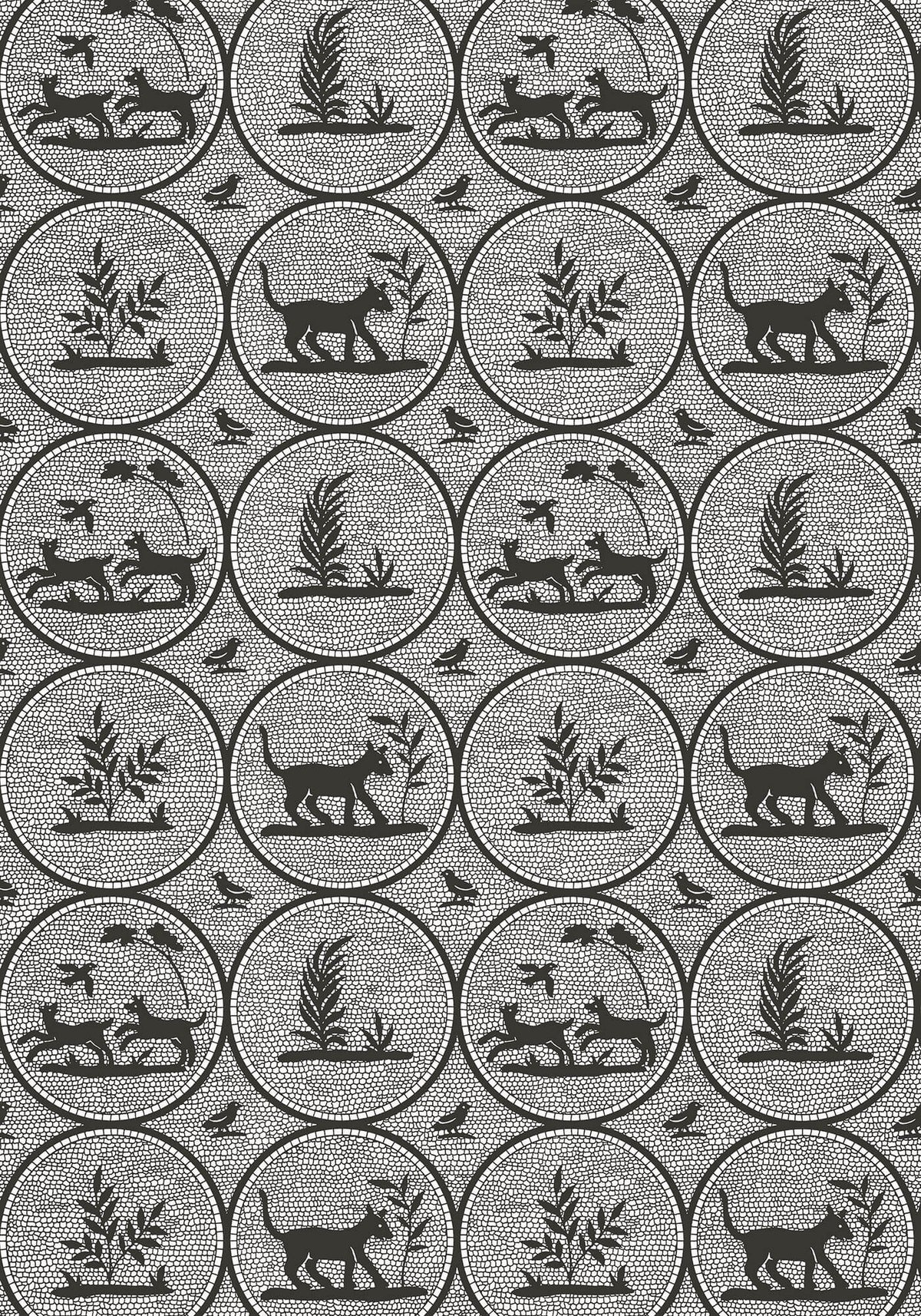Thibaut Canopy Dooley Wallpaper - Black