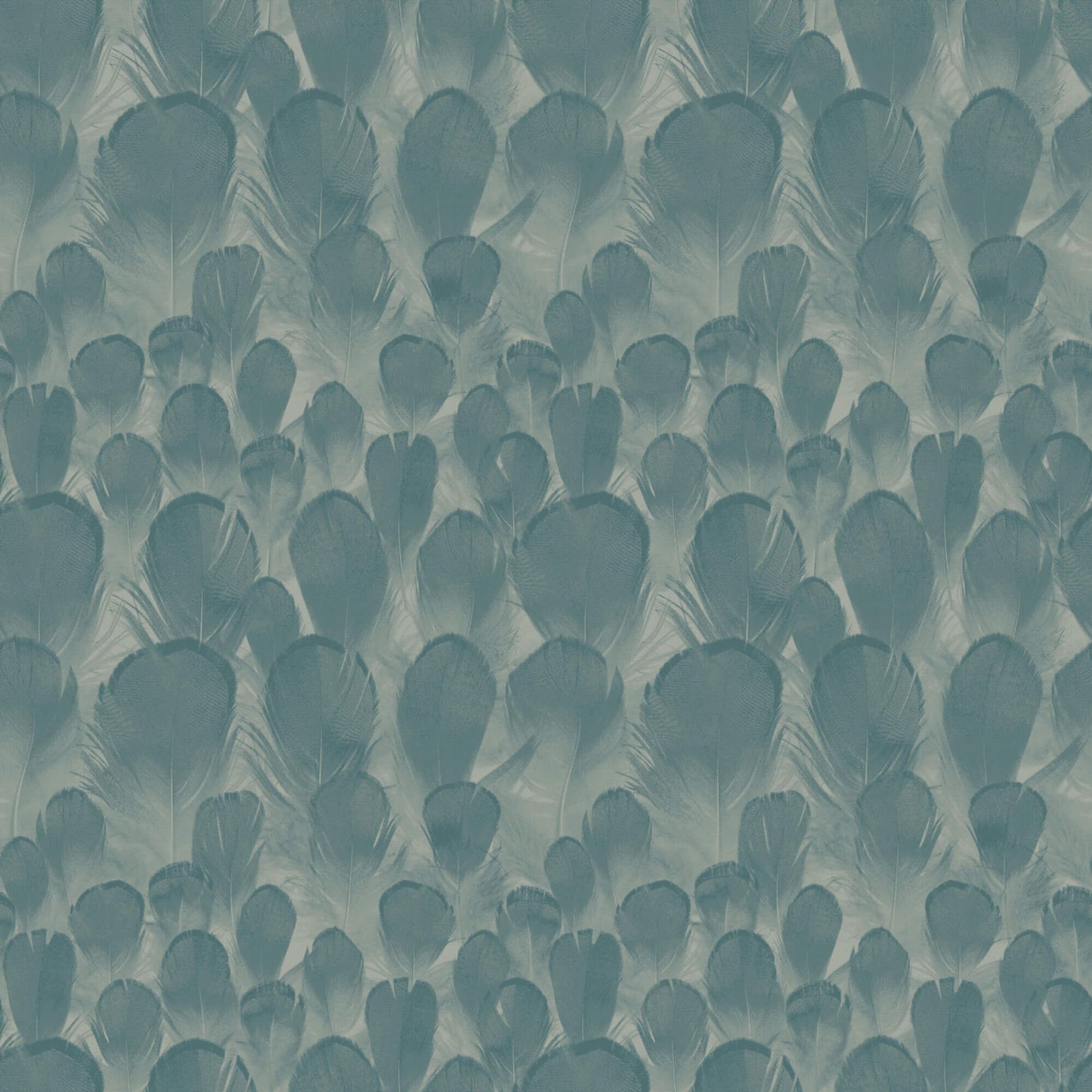 Y6230105 Feathers Wallpaper by Antonina Vella Teal Green