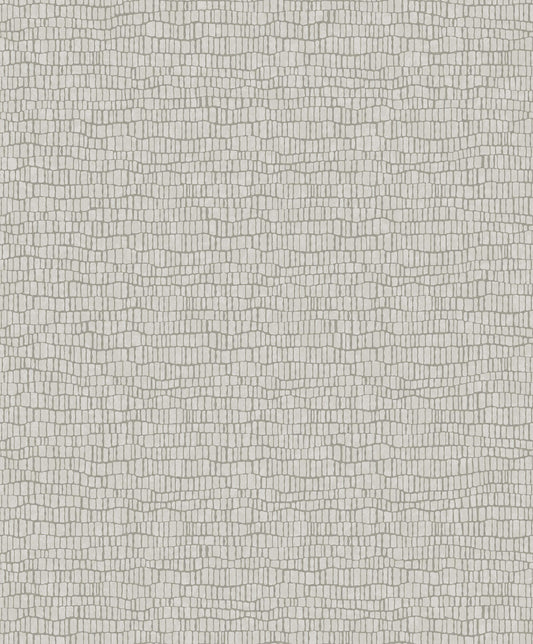 Y6230401 Skin Wallpaper by Antonina Vella Light Gray