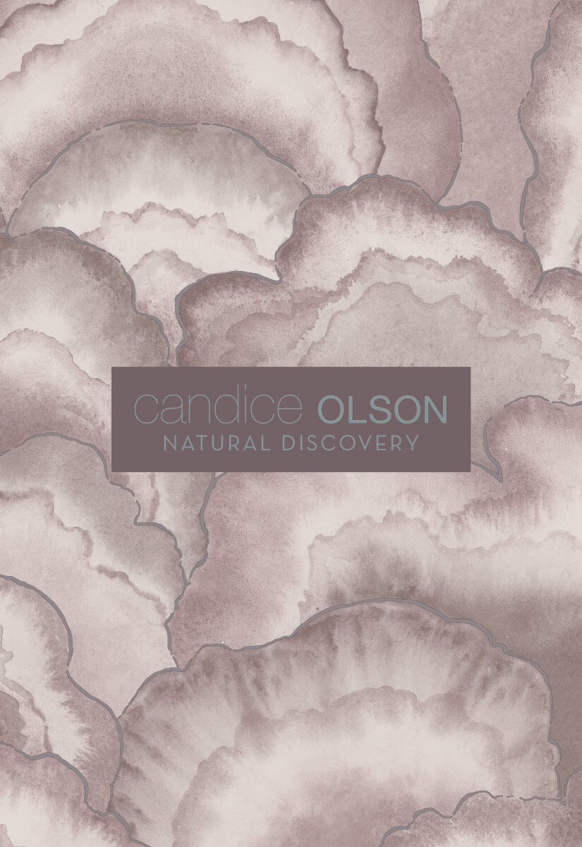 Candice Olson Natural Discovery Wallpaper Collection