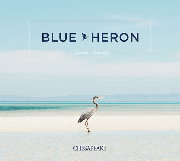 Chesapeake Blue Heron Wallpaper Collection