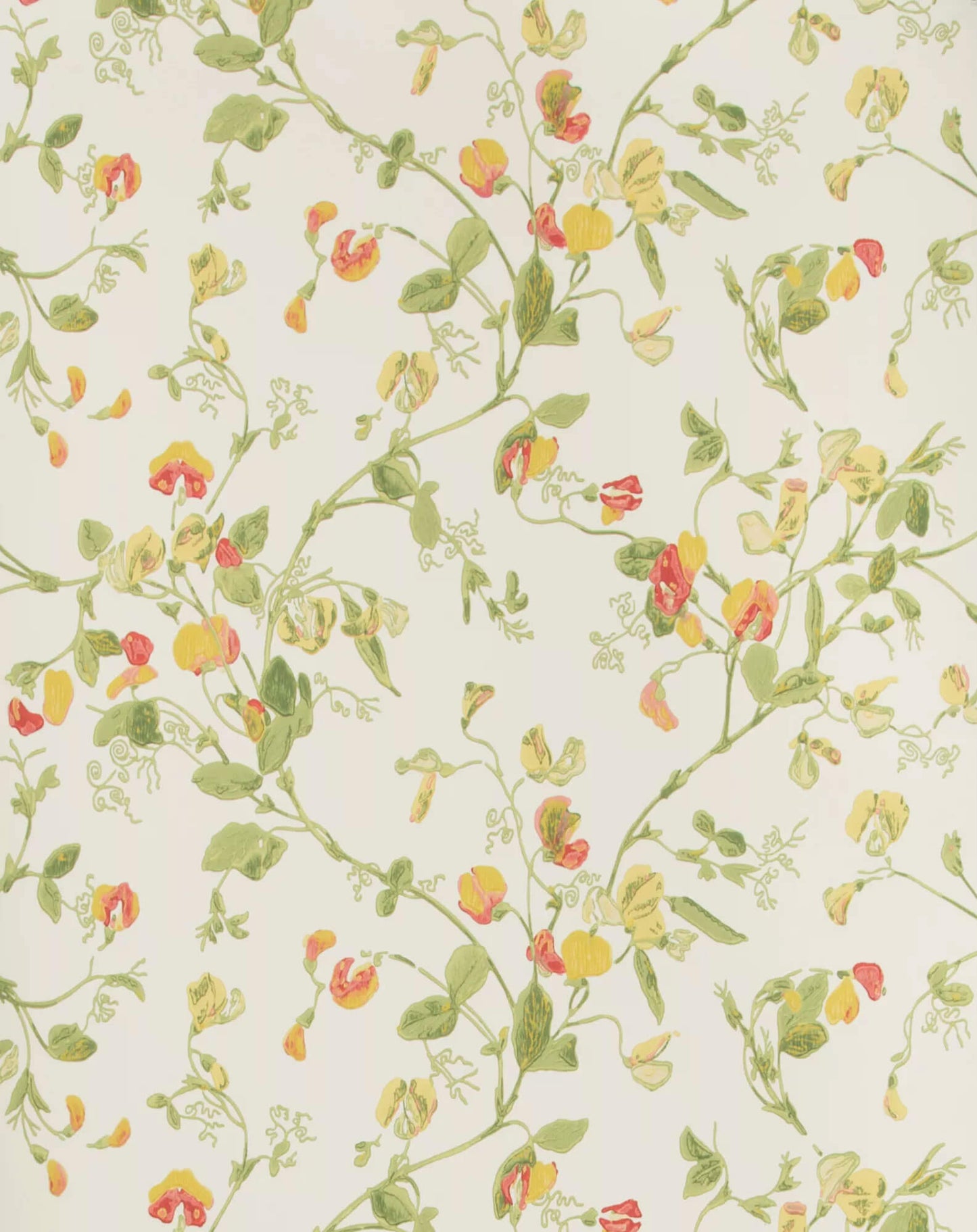 Cole & Son Sweet Pea Wallpaper - Pink & Yellow