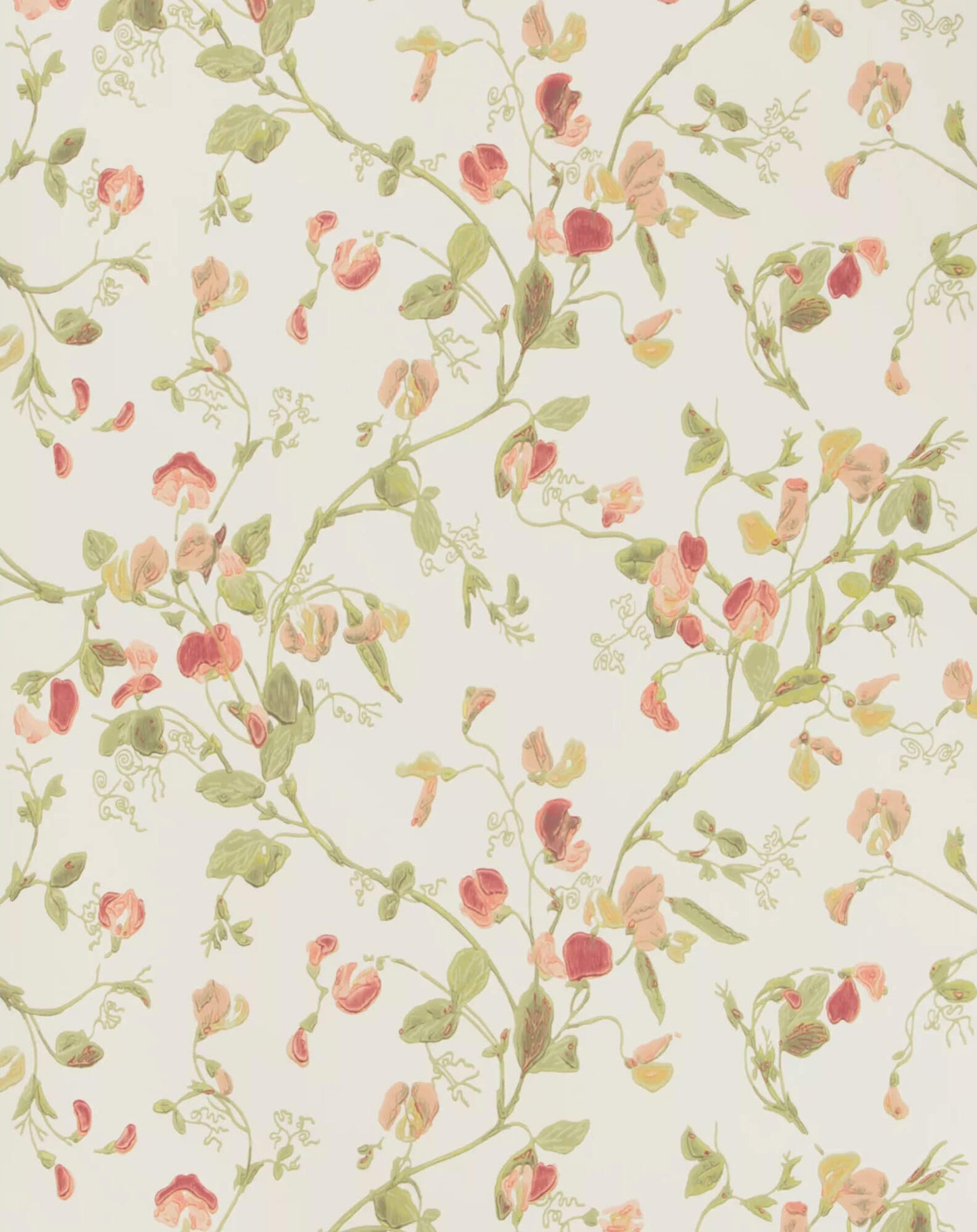 Cole & Son Sweet Pea Wallpaper - Pink