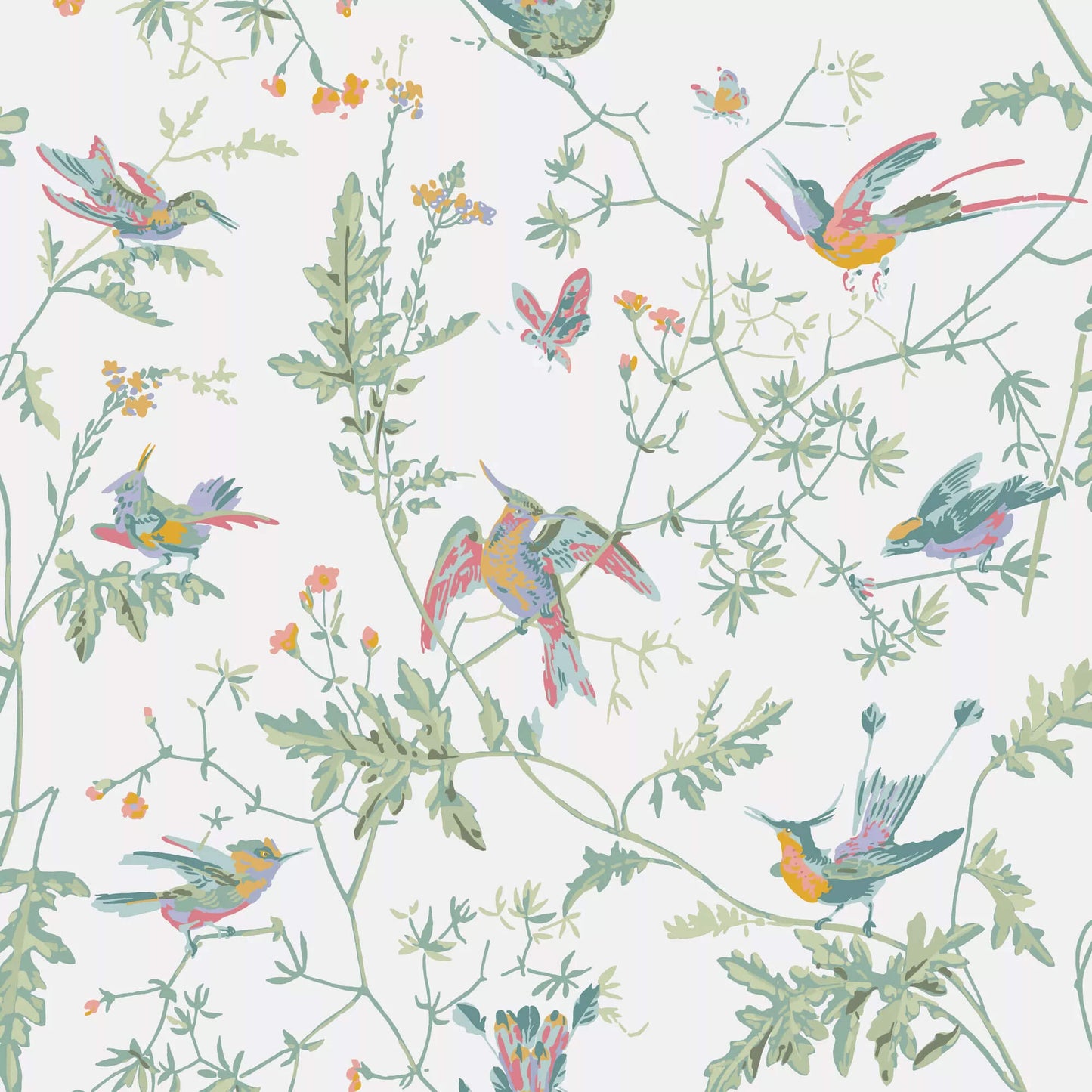 Cole & Son Hummingbirds Wallpaper - SAMPLE