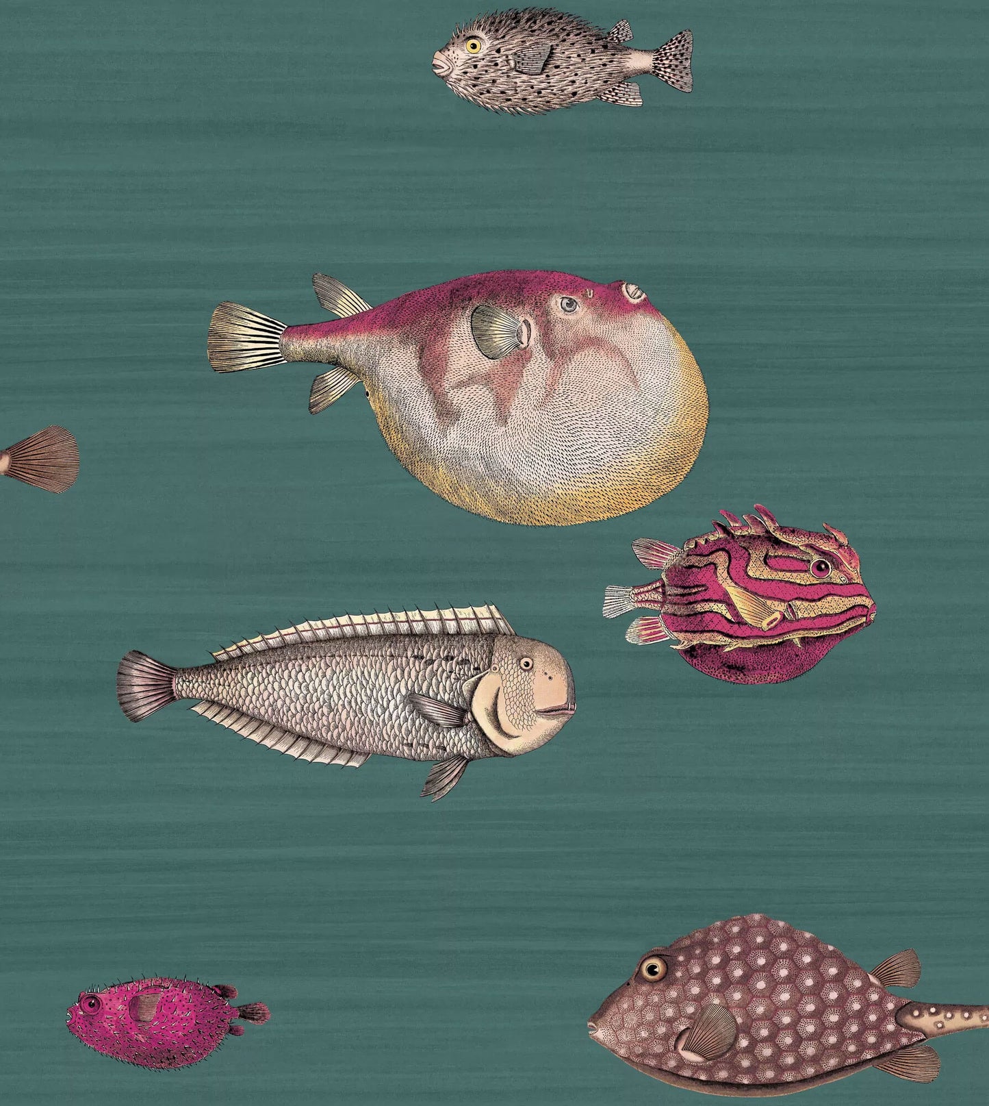 Cole & Son Acquario Fish Wallpaper - SAMPLE