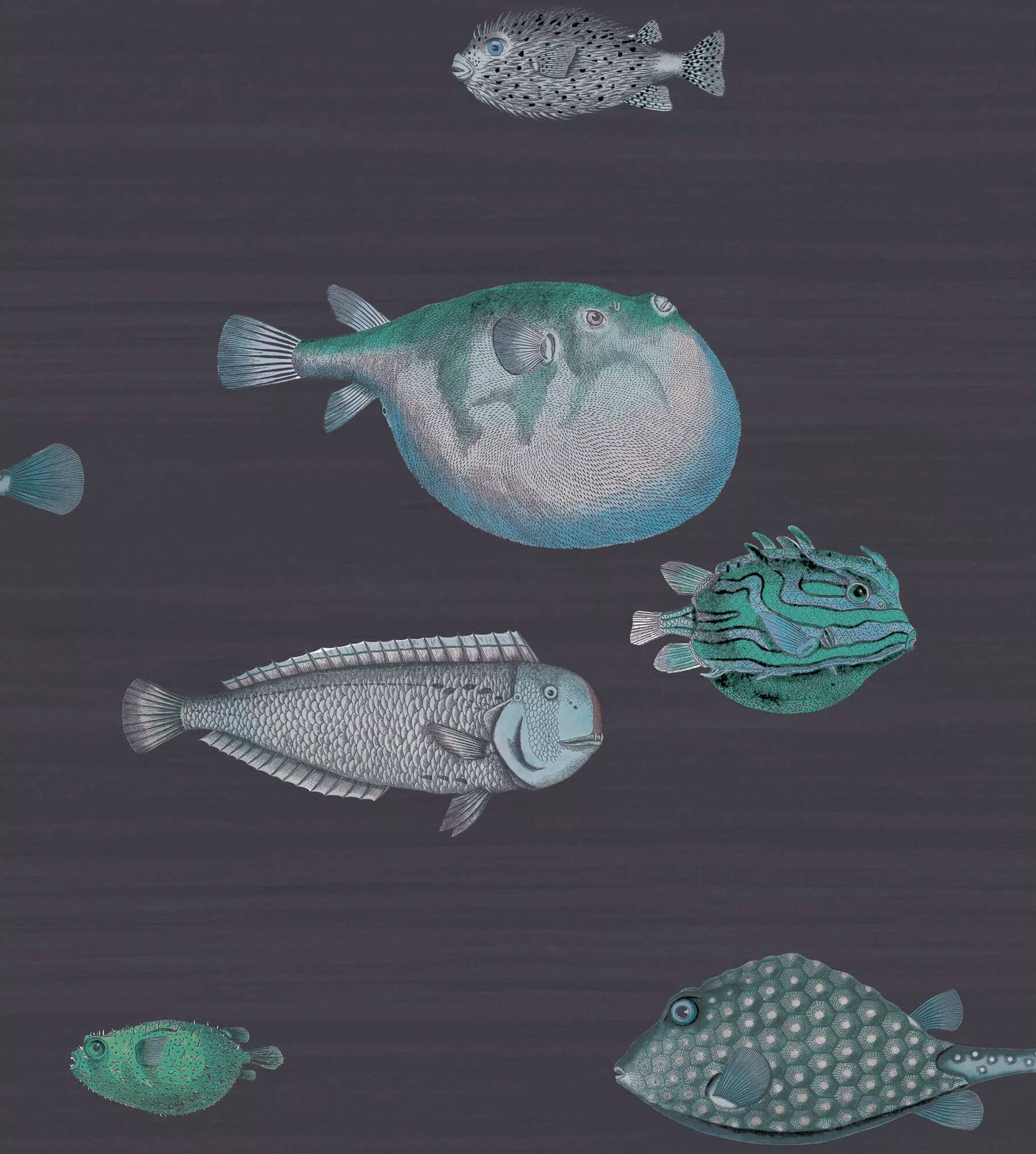 Cole & Son Acquario Fish Wallpaper - SAMPLE