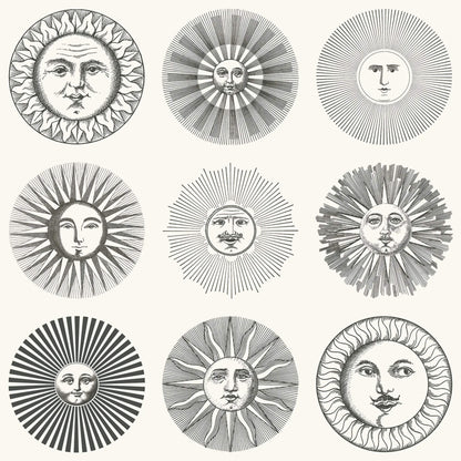 Cole & Son Fornasetti Senza Tempo II Wallpaper Collection - SAMPLE