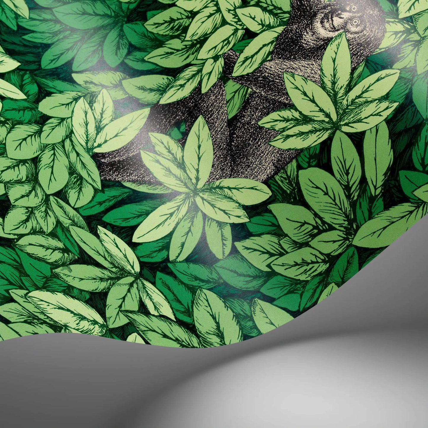 Cole & Son Fornasetti Senza Tempo II Foglie E Scimmie Wallpaper - Green