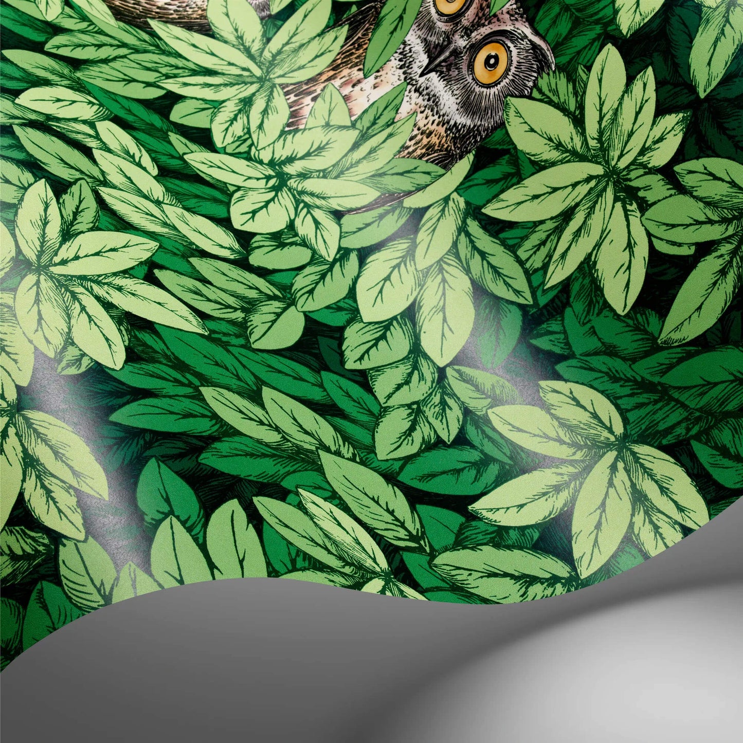 Cole & Son Fornasetti Senza Tempo II Foglie E Civette Wallpaper - Green