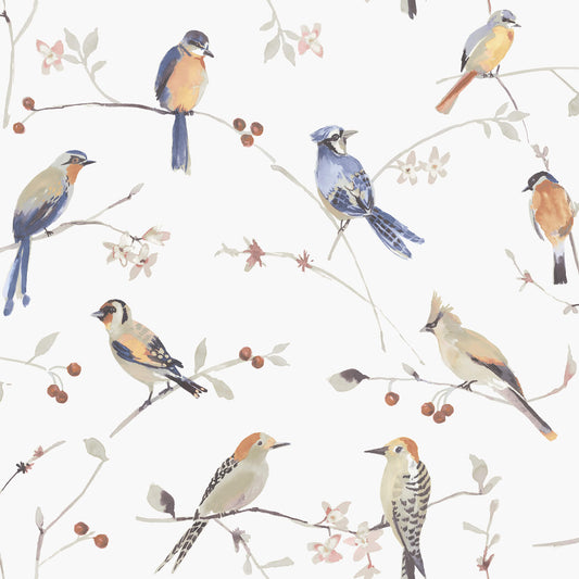 Chesapeake Thoreau Birdsong Wallpaper - Orange