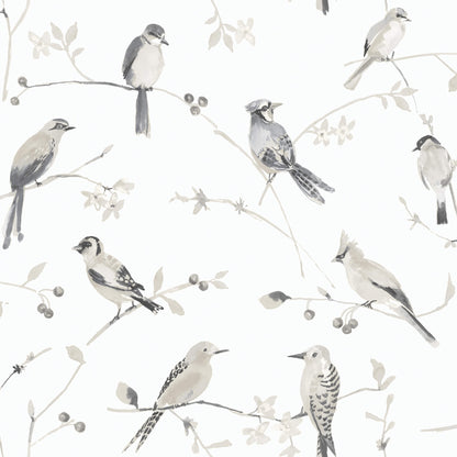 Chesapeake Thoreau Birdsong Wallpaper - Grey