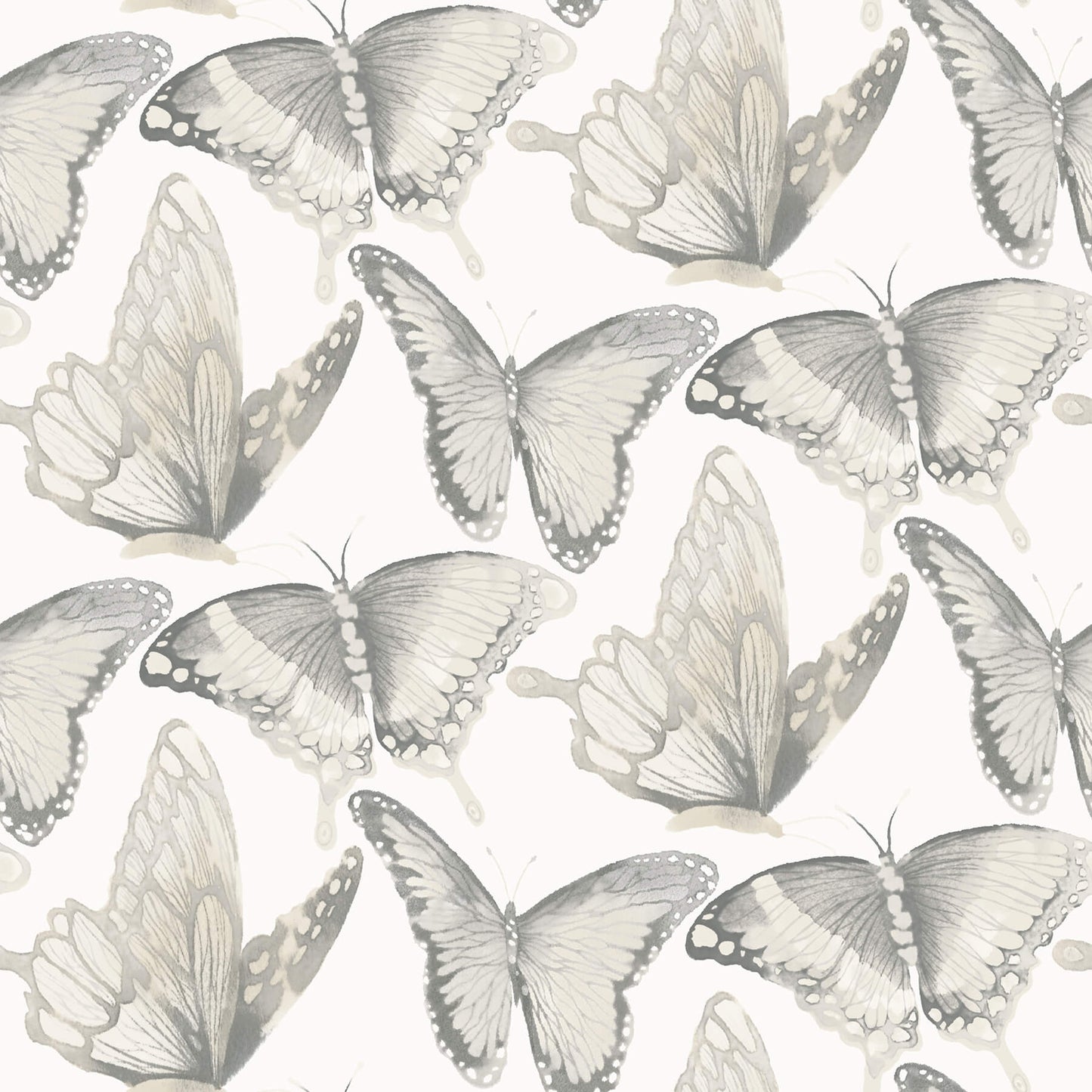 Chesapeake Thoreau Janetta Butterfly Wallpaper - Grey