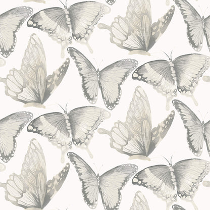 Chesapeake Thoreau Janetta Butterfly Wallpaper - Grey