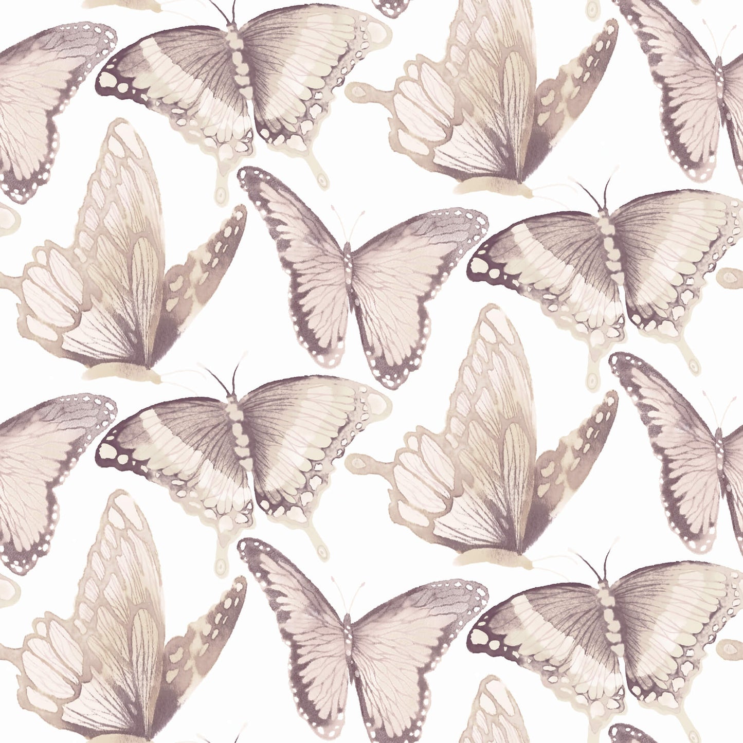 Chesapeake Thoreau Janetta Butterfly Wallpaper - Blush