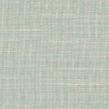 Chesapeake Blue Heron Spinnaker Netting Wallpaper - Aqua