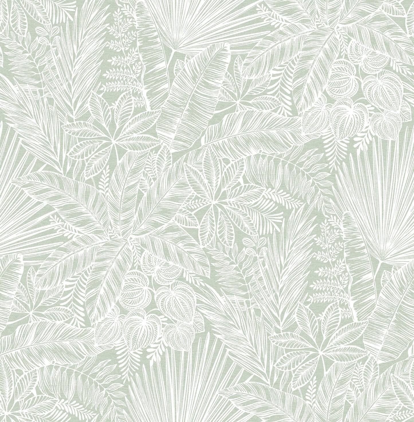 A-Street Prints Middleton Vita Wallpaper - Sage