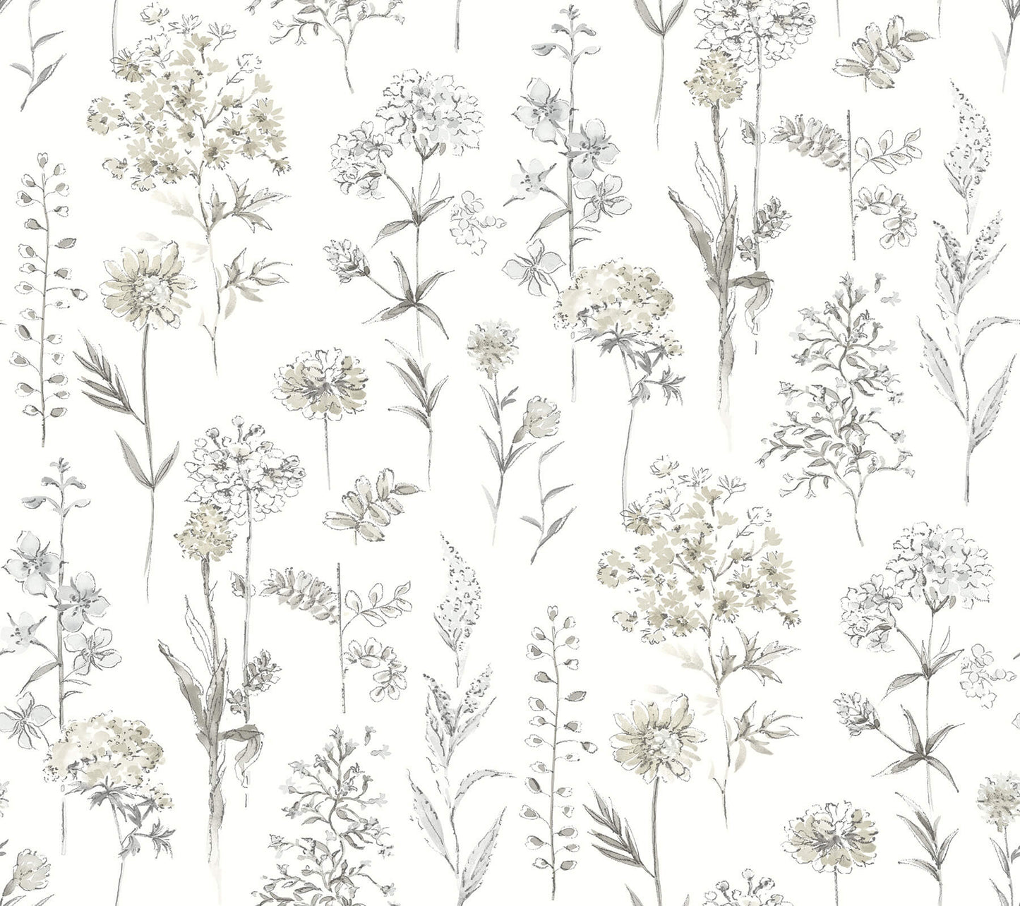 Chesapeake Wildflower Bergamot Wallpaper - Light Grey