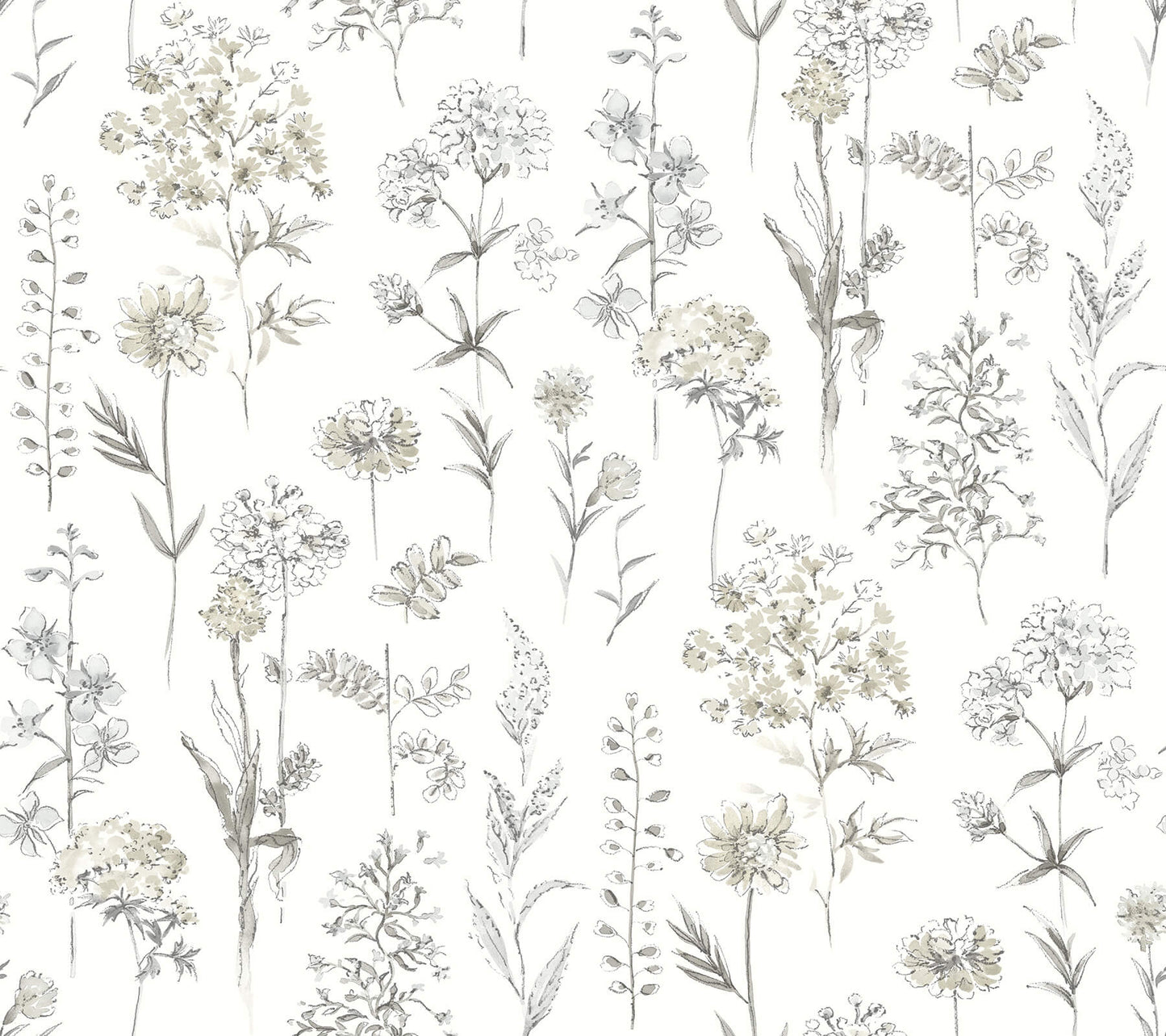 Chesapeake Wildflower Collection Wallpaper - SAMPLE