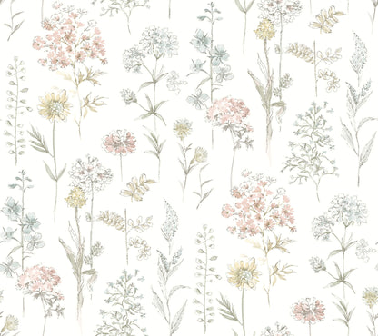 Chesapeake Wildflower Collection Wallpaper - SAMPLE