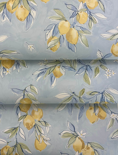 Chesapeake Wildflower Lemonade Wallpaper - Light Blue