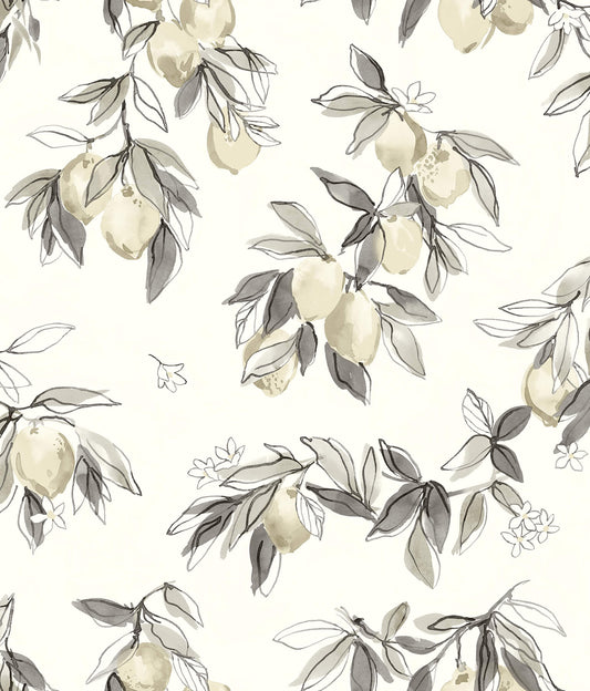 Chesapeake Wildflower Lemonade Wallpaper - Charcoal