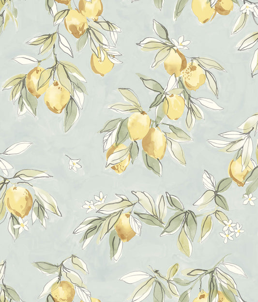 Chesapeake Wildflower Lemonade Wallpaper - Aqua