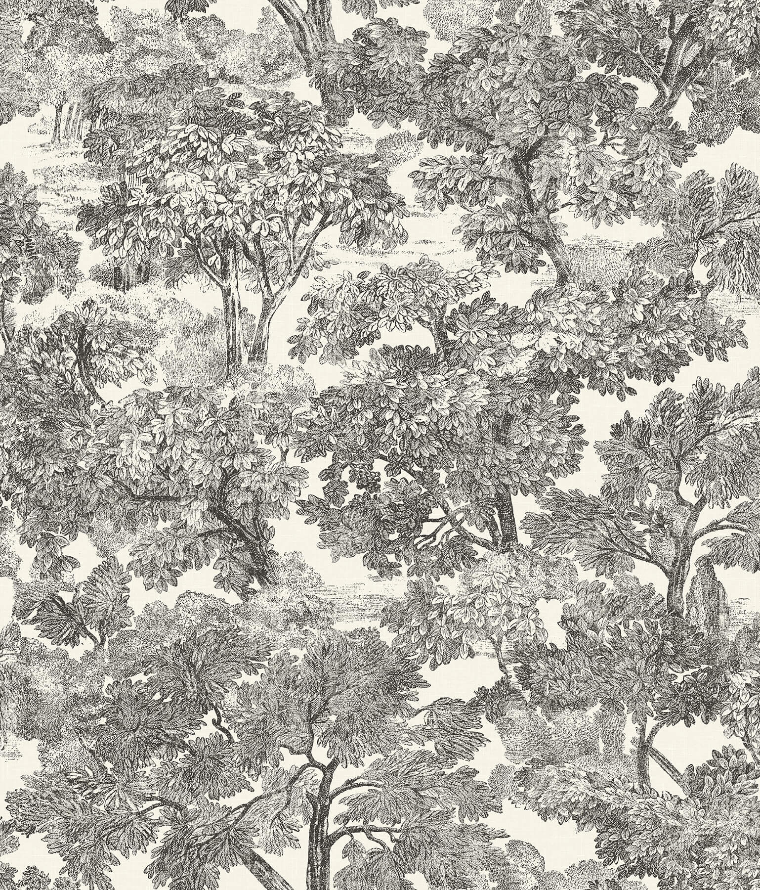 4134-72558 Chesapeake Wildflower Spinney Toile Wallpaper - Black