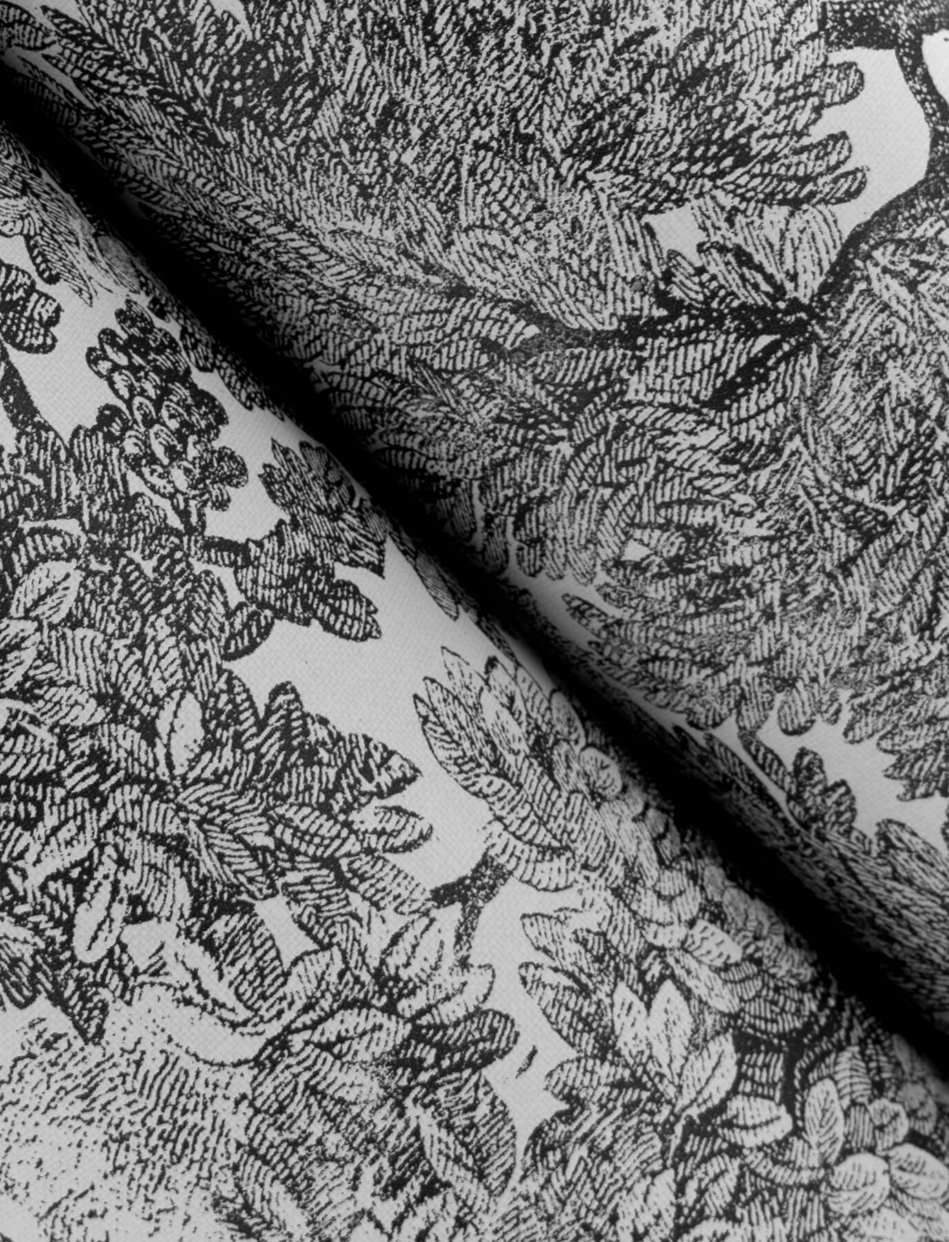 4134-72558 Chesapeake Wildflower Spinney Toile Wallpaper - Black