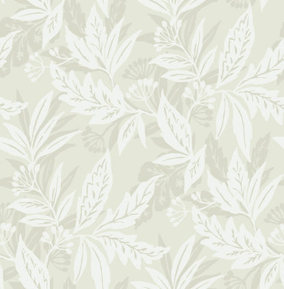 Drew & Jonathan Home Anita Wallpaper - Dove