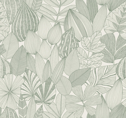 Drew & Jonathan Home Mathias Botanical Wallpaper - Green