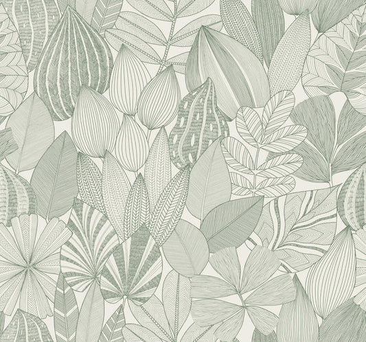 Drew & Jonathan Home Mathias Botanical Wallpaper - Green