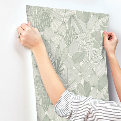 Drew & Jonathan Home Mathias Botanical Wallpaper - Green