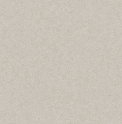 Westbury Forest Heritage Plain Wallpaper - Dark Grey