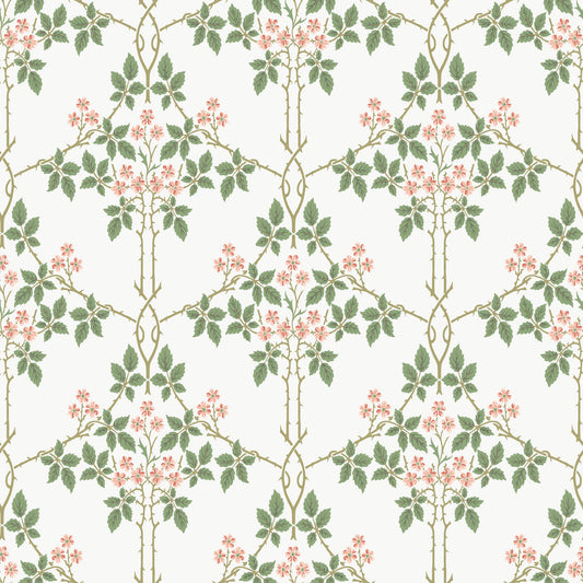 A-Street Prints Hidden Treasures Blackberry Wallpaper - Pink & Green