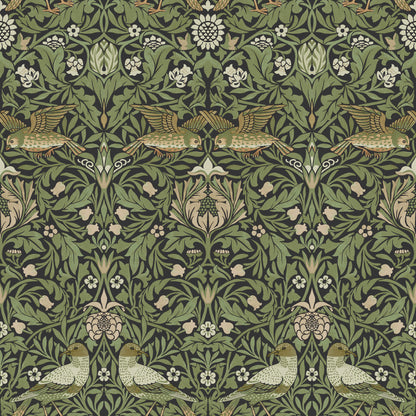 A-Street Prints Hidden Treasures Bird Wallpaper - Green