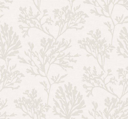 A-Street Prints Sea Salt Tortuga Wallpaper - Dove