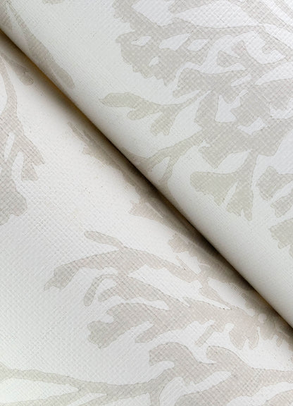 A-Street Prints Sea Salt Tortuga Wallpaper - Dove