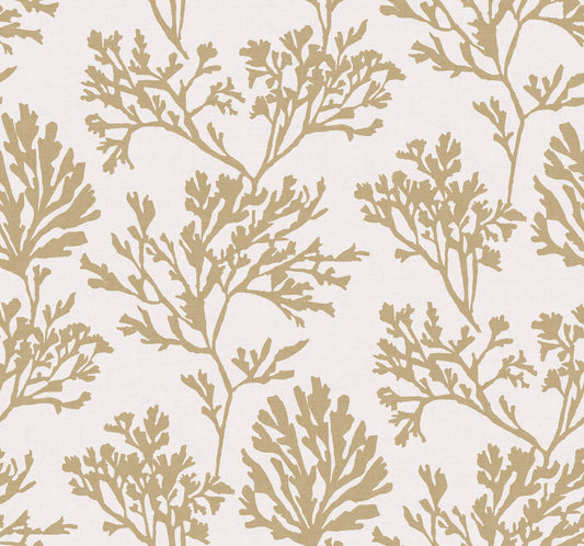 A-Street Prints Sea Salt Tortuga Wallpaper - Gold