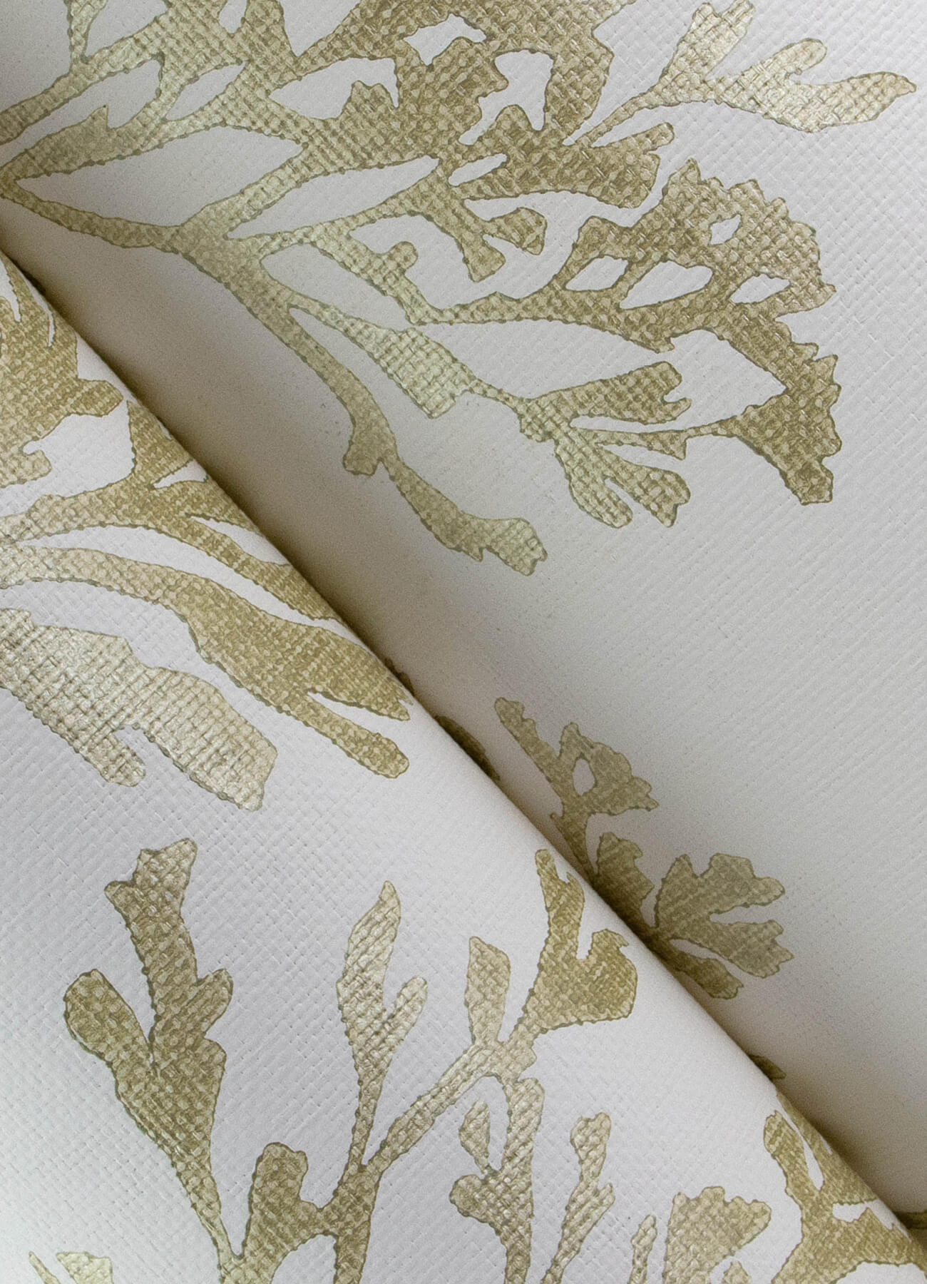 A-Street Prints Sea Salt Tortuga Wallpaper - Gold