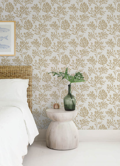 A-Street Prints Sea Salt Tortuga Wallpaper - Gold