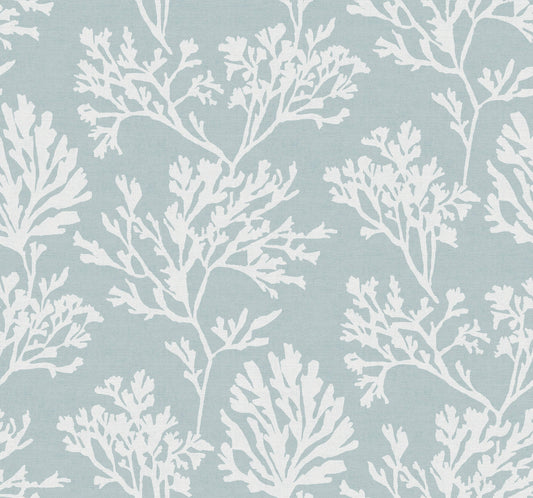 A-Street Prints Sea Salt Tortuga Wallpaper - Sky Blue