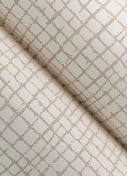 Drew & Jonathan Home Albin Wallpaper Sample - Beige