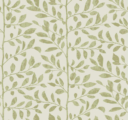 Drew & Jonathan Home Sagecrest Wallpaper Sample - Sage
