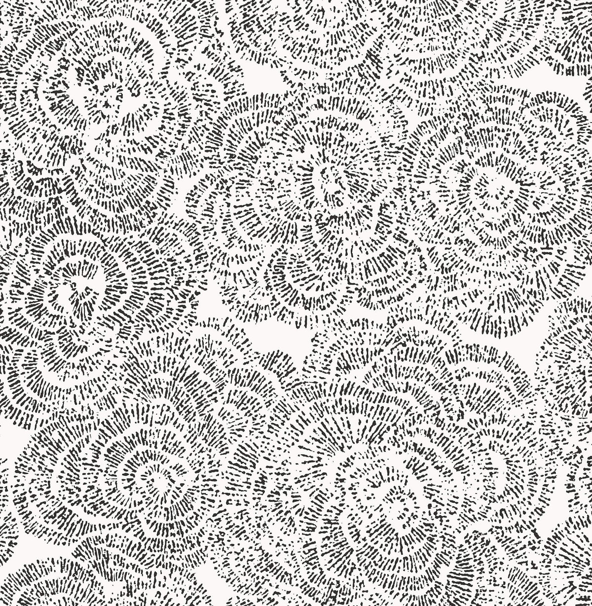 A-Street Prints Kaleidoscope Ambroise Floral Wallpaper Sample - Black