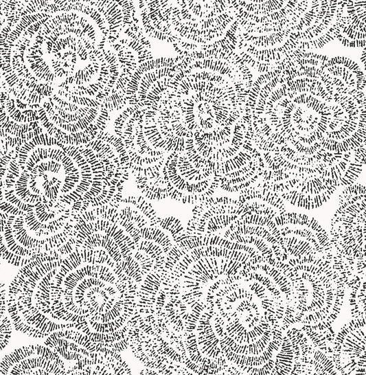 A-Street Prints Kaleidoscope Ambroise Floral Wallpaper - Black