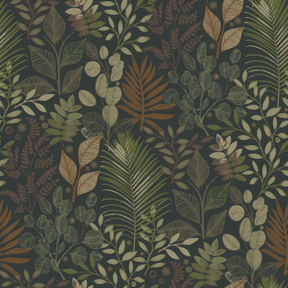 A-Street Prints Savanna Angslycka Forest Wallpaper Sample - Black