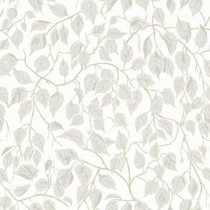 A-Street Prints Savanna Hangbjork Vine Wallpaper - Dove