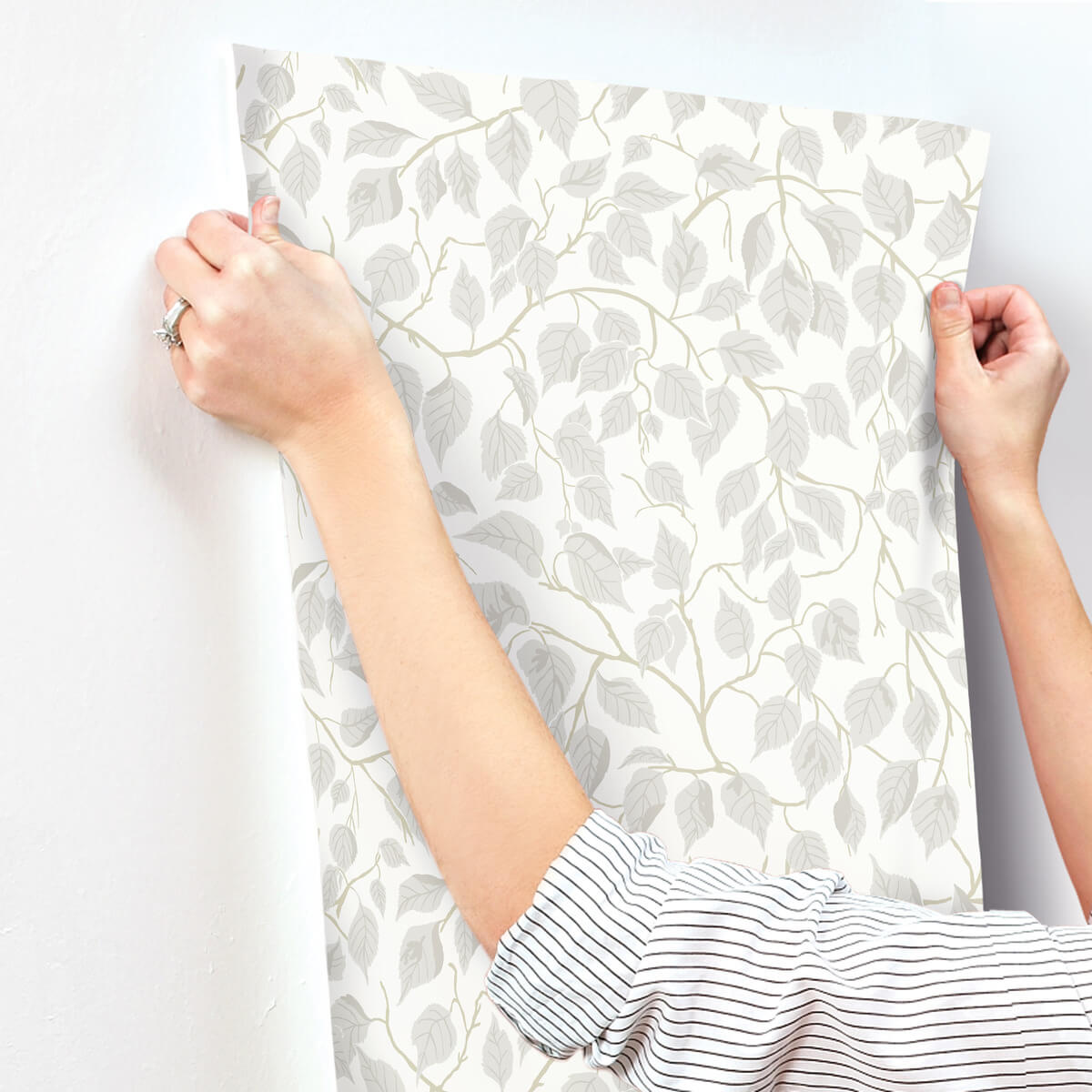A-Street Prints Savanna Hangbjork Vine Wallpaper - Dove