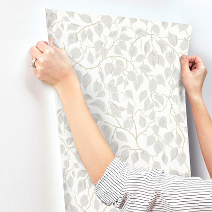 A-Street Prints Savanna Hangbjork Vine Wallpaper - Dove